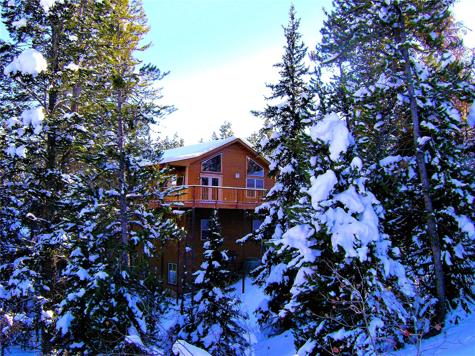 The lodge in winter, rising among snow-laden evergreens with its deck visible under a clear blue sky